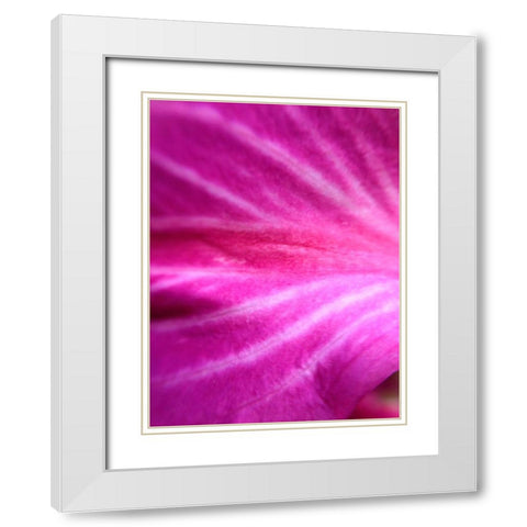 Leaf Stripes I White Modern Wood Framed Art Print with Double Matting by Grayscale