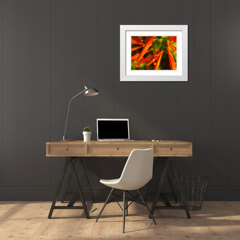 Orange Spikes I White Modern Wood Framed Art Print with Double Matting by Grayscale