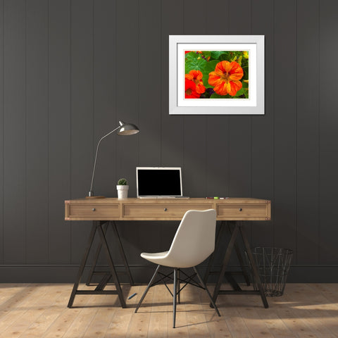 Orange Blooms I White Modern Wood Framed Art Print with Double Matting by Grayscale