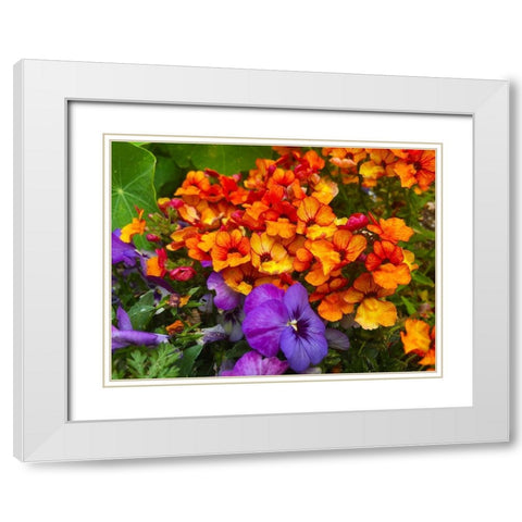 Orange and Purple Blooms I White Modern Wood Framed Art Print with Double Matting by Grayscale