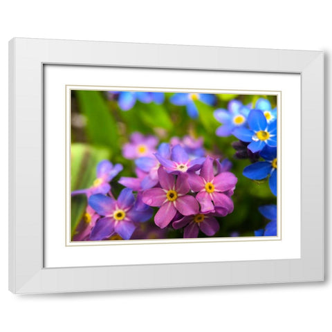 Blue and Purple Blooms I White Modern Wood Framed Art Print with Double Matting by Grayscale