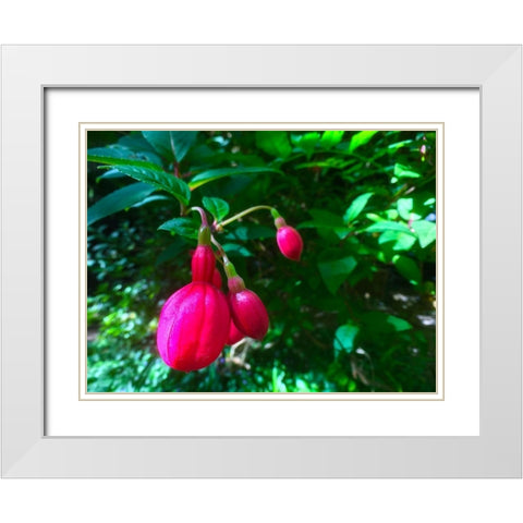 Red Bulbs I White Modern Wood Framed Art Print with Double Matting by Grayscale