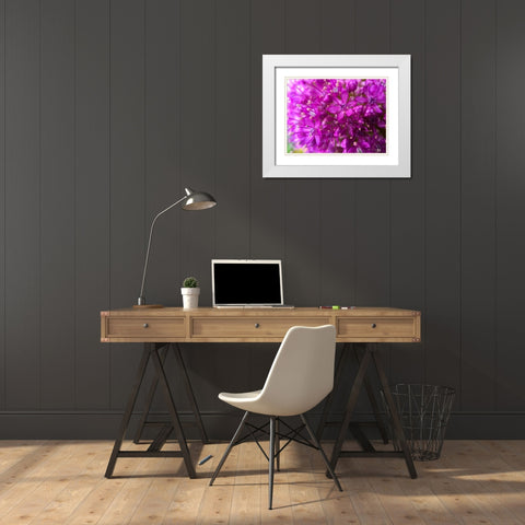 Purple Cluster III White Modern Wood Framed Art Print with Double Matting by Grayscale