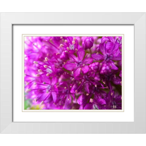Purple Cluster III White Modern Wood Framed Art Print with Double Matting by Grayscale