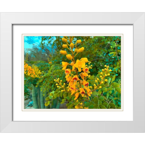 Yellow Blooms I White Modern Wood Framed Art Print with Double Matting by Grayscale