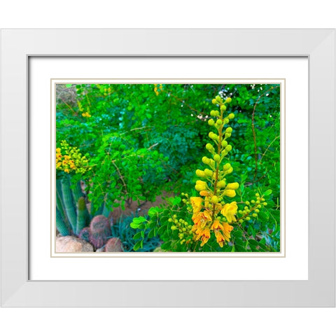 Yellow Blooms II White Modern Wood Framed Art Print with Double Matting by Grayscale