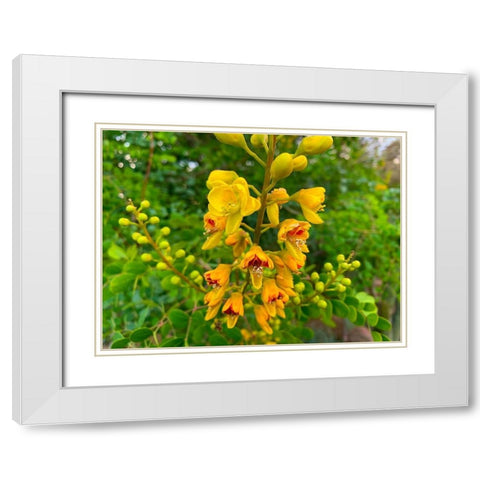 Yellow Blooms III White Modern Wood Framed Art Print with Double Matting by Grayscale