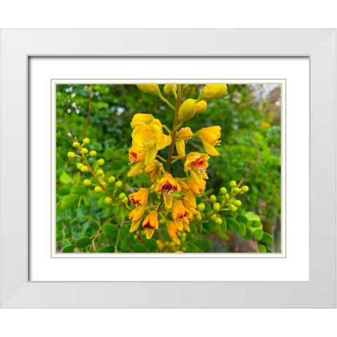 Yellow Blooms III White Modern Wood Framed Art Print with Double Matting by Grayscale