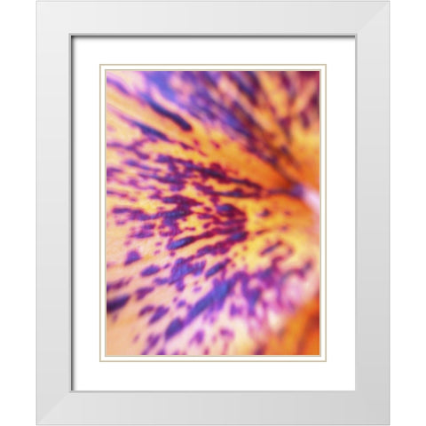 Lava Leaf I White Modern Wood Framed Art Print with Double Matting by Grayscale
