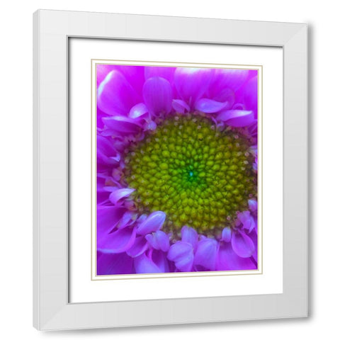 Flower Center I White Modern Wood Framed Art Print with Double Matting by Grayscale