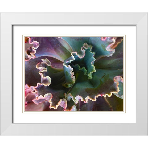 Ribbons I White Modern Wood Framed Art Print with Double Matting by Grayscale