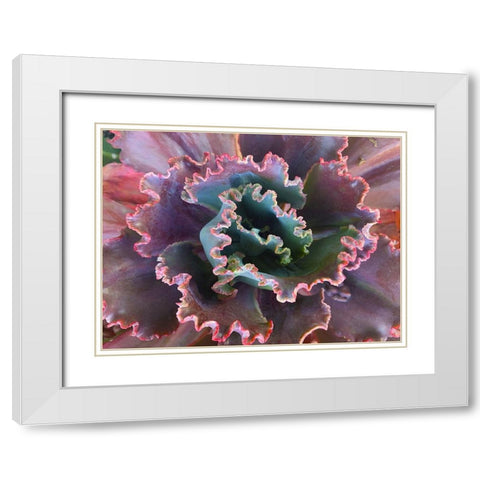 Ribbons II White Modern Wood Framed Art Print with Double Matting by Grayscale