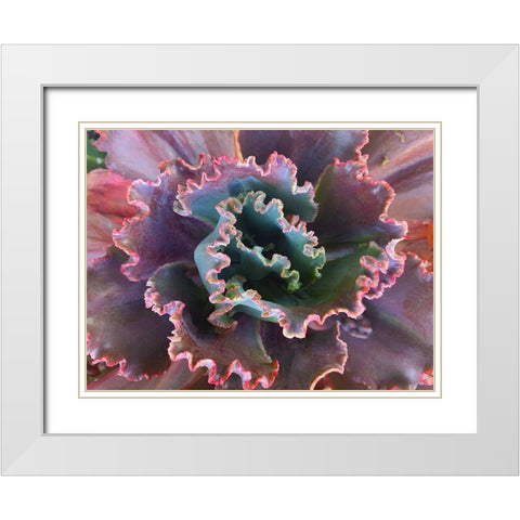 Ribbons II White Modern Wood Framed Art Print with Double Matting by Grayscale