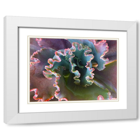 Ribbons III White Modern Wood Framed Art Print with Double Matting by Grayscale