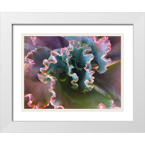 Ribbons III White Modern Wood Framed Art Print with Double Matting by Grayscale