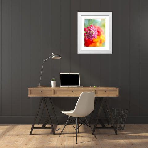 Lantana VIII White Modern Wood Framed Art Print with Double Matting by Grayscale