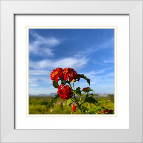 Lantana X White Modern Wood Framed Art Print with Double Matting by Grayscale