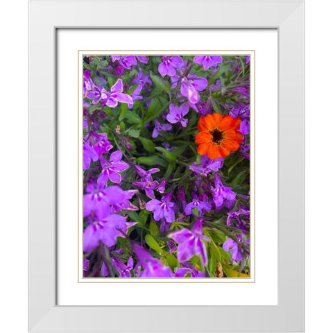 Flower Spot I White Modern Wood Framed Art Print with Double Matting by Grayscale