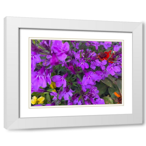 Flower Spot II White Modern Wood Framed Art Print with Double Matting by Grayscale