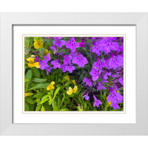 Flower Spot III White Modern Wood Framed Art Print with Double Matting by Grayscale