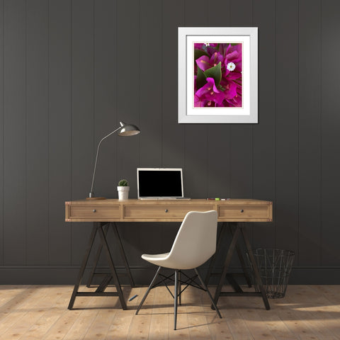 Bougainvillea II White Modern Wood Framed Art Print with Double Matting by Grayscale
