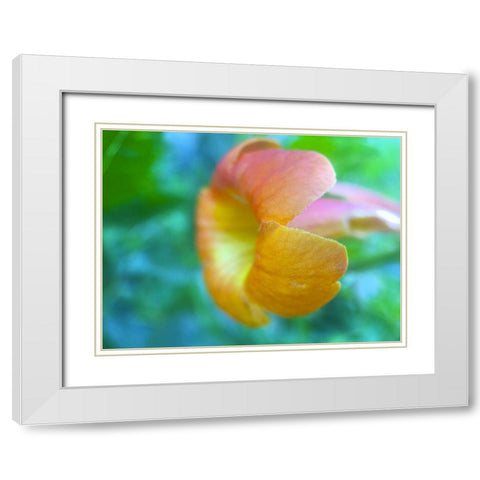 Cactus Flower VI White Modern Wood Framed Art Print with Double Matting by Grayscale