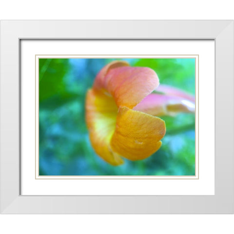 Cactus Flower VI White Modern Wood Framed Art Print with Double Matting by Grayscale