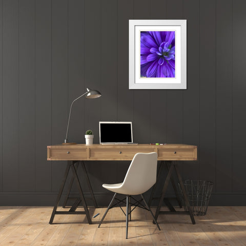 Purple Bloom VI White Modern Wood Framed Art Print with Double Matting by Grayscale