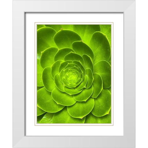 Green Bloom I White Modern Wood Framed Art Print with Double Matting by Grayscale