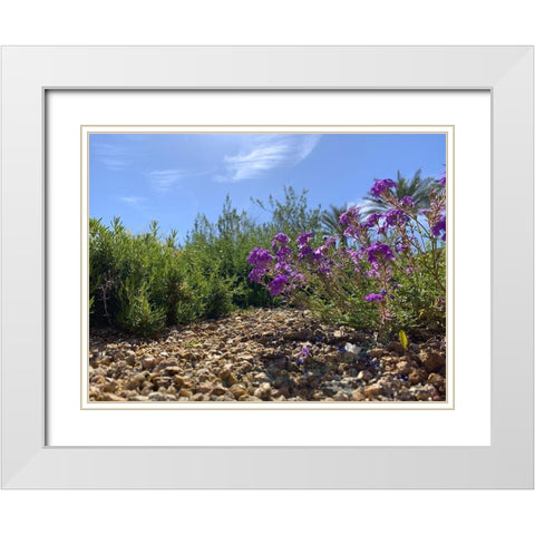 Rock Path I White Modern Wood Framed Art Print with Double Matting by Grayscale