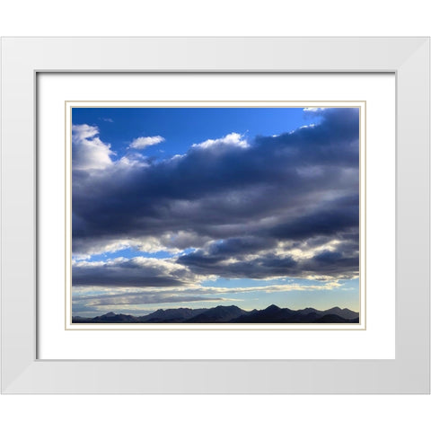 McDowell Mountains White Modern Wood Framed Art Print with Double Matting by Grayscale