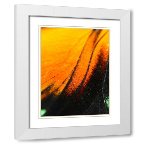 Butterfly Wing II White Modern Wood Framed Art Print with Double Matting by Grayscale