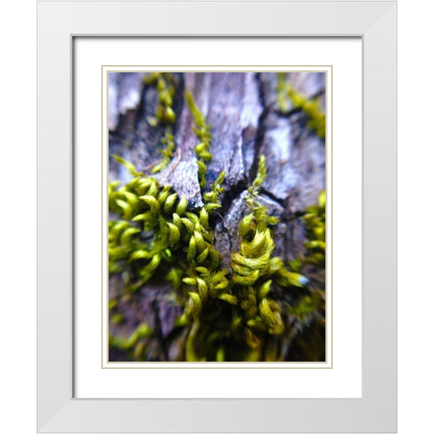 Bark Hair I White Modern Wood Framed Art Print with Double Matting by Grayscale