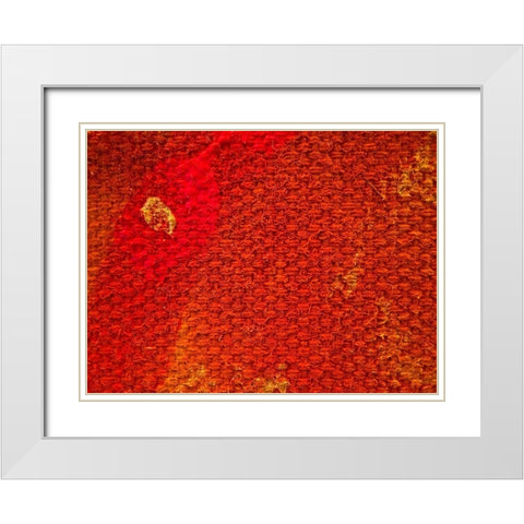 Canvas Closeup III White Modern Wood Framed Art Print with Double Matting by Grayscale