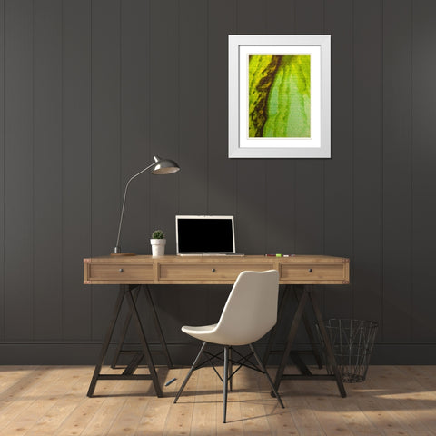Canvas Closeup V White Modern Wood Framed Art Print with Double Matting by Grayscale