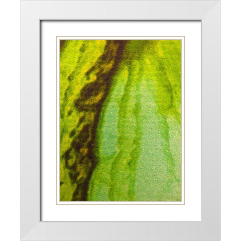 Canvas Closeup V White Modern Wood Framed Art Print with Double Matting by Grayscale