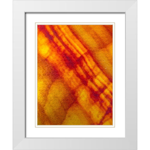 Canvas Closeup VI White Modern Wood Framed Art Print with Double Matting by Grayscale