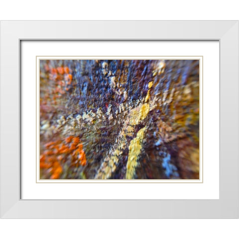Paint Closeup IX White Modern Wood Framed Art Print with Double Matting by Grayscale