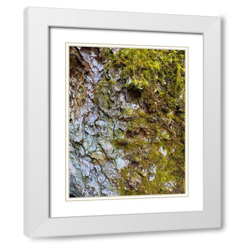 Bark and Moss I White Modern Wood Framed Art Print with Double Matting by Grayscale