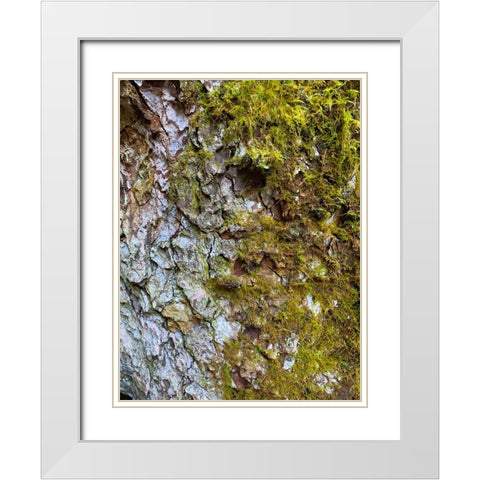 Bark and Moss I White Modern Wood Framed Art Print with Double Matting by Grayscale