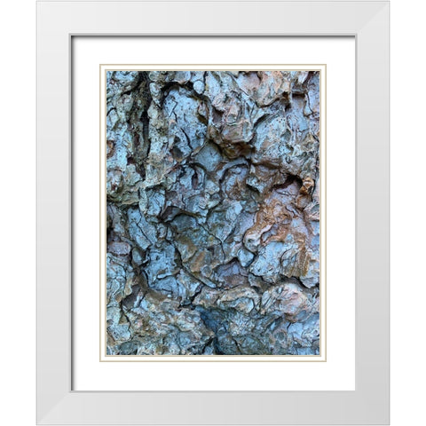 Bark Scales I White Modern Wood Framed Art Print with Double Matting by Grayscale