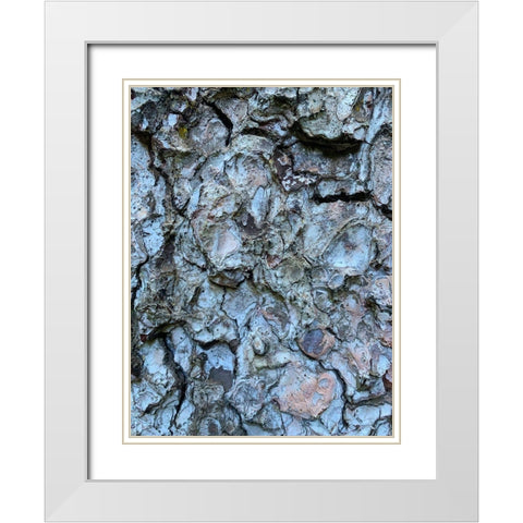 Bark Scales II White Modern Wood Framed Art Print with Double Matting by Grayscale
