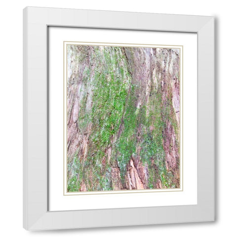 Bark and Moss II White Modern Wood Framed Art Print with Double Matting by Grayscale