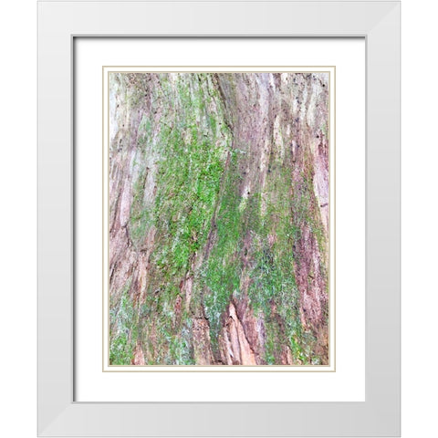 Bark and Moss II White Modern Wood Framed Art Print with Double Matting by Grayscale