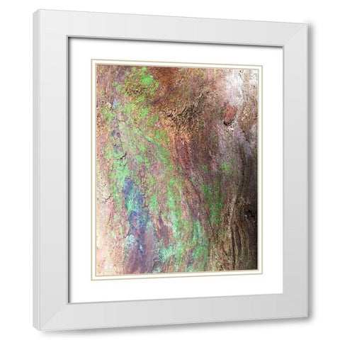 Bark and Moss III White Modern Wood Framed Art Print with Double Matting by Grayscale