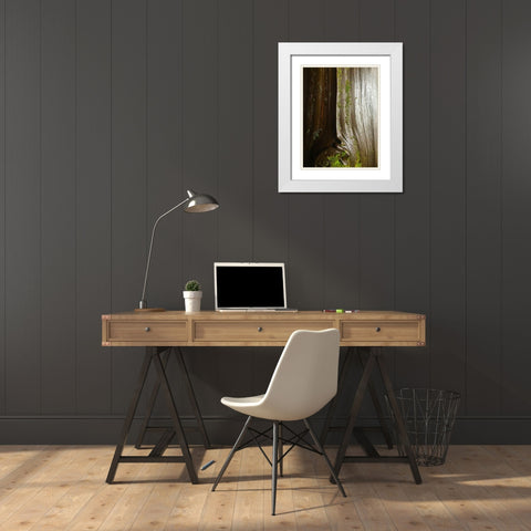 Bark and Moss IV White Modern Wood Framed Art Print with Double Matting by Grayscale