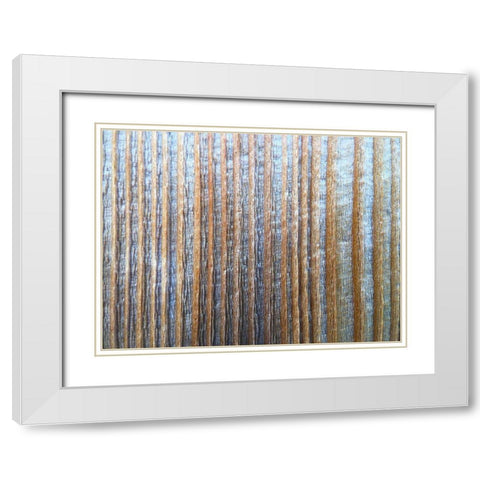 Bark Stripes I White Modern Wood Framed Art Print with Double Matting by Grayscale