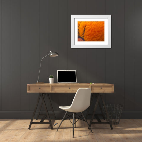 Orange Furry I White Modern Wood Framed Art Print with Double Matting by Grayscale