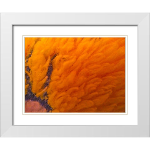 Orange Furry I White Modern Wood Framed Art Print with Double Matting by Grayscale