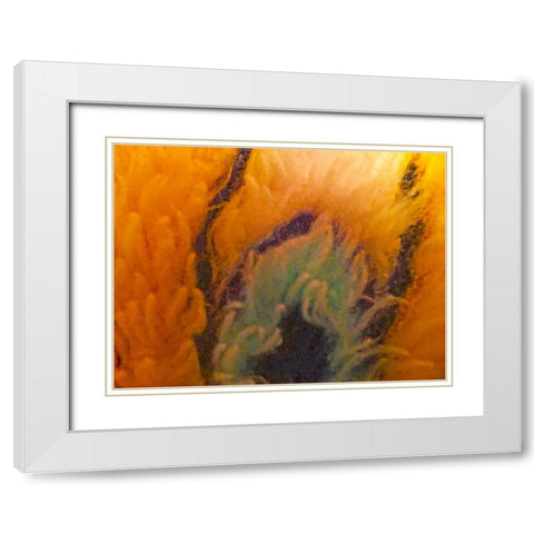 Orange Furry II White Modern Wood Framed Art Print with Double Matting by Grayscale